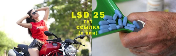 PSILOCYBIN Белокуриха