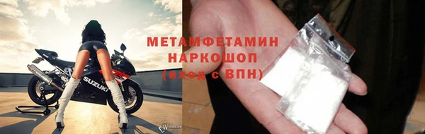 PSILOCYBIN Белокуриха