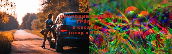 стафф Белоозёрский