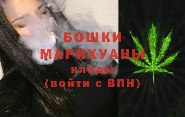 PSILOCYBIN Белокуриха