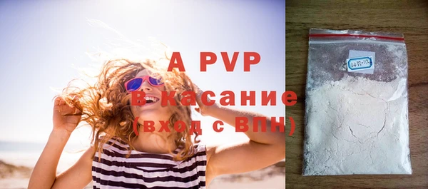 PSILOCYBIN Белокуриха