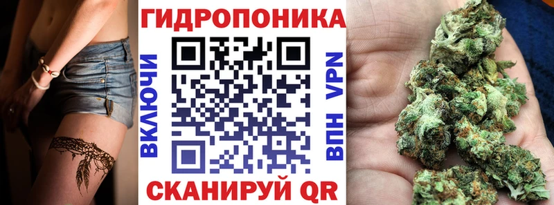 Каннабис сатива Называевск